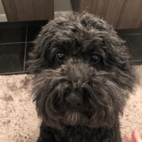 Thank you for stopping by! - Picture 3 of 4